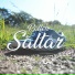 Rollen