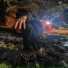 WhiteWither