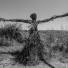 Primordial