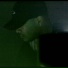 Dedekind Cut