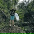 Jadon Woods