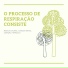 Isadora Respira