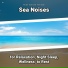 New Age, Ocean Sounds, Nature Sounds