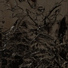 Dead by Daylight