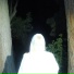 Dava