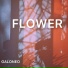 GALONEO