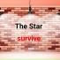 The Star