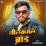 Sunny Dilwale