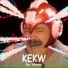 Ray Wonder