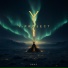 Y-Project
