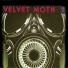 Velvet Moth