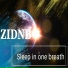 ZiDNB