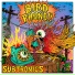 Subtronics