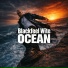 Blackfeel Wite