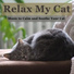 RelaxMyCat