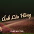 PHAM HUU TAM