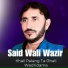 Said Wali Wazir