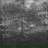 тень
