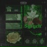 Syfych