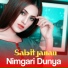 Sabit janan