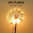 Wonder Plants