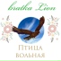 bratka Lion