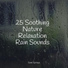 Calming Sounds, The Rain Library, Rain Sounds Rain