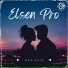 Elsen Pro