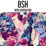 BSH