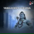 B.R.Chaya