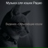 Музыка для кошек Радио