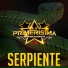 LA PRIMERÍSIMA INTERNACIONAL