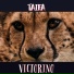 VICTORINO