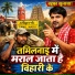 Suraj Bedardi