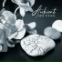 Spa Chillout Music Collection