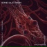 Stochastic Process