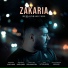 Reza Karami Tara