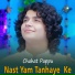 Chahat Pappu
