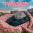 FEnAmen