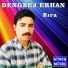 Dengbej Erhan