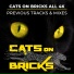 Cats On Bricks feat. Zach Alwin