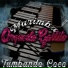 Marimba Orquesta Gallito