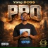 Yang BO$$