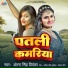 Antra Singh Priyanka, Vijay maurya