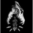 Johnny Stranger