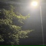 Pulsar