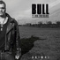 Bull y Los Búfalos
