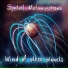 Spatial Metamorphoses