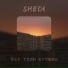 Shedi