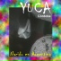 Yuca Córdoba